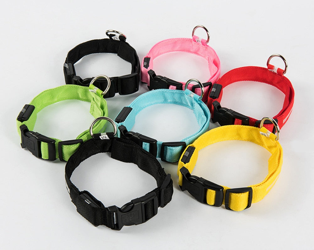 LED Glow Collar